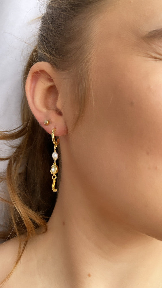 Nine earrings