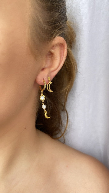 Nine earrings