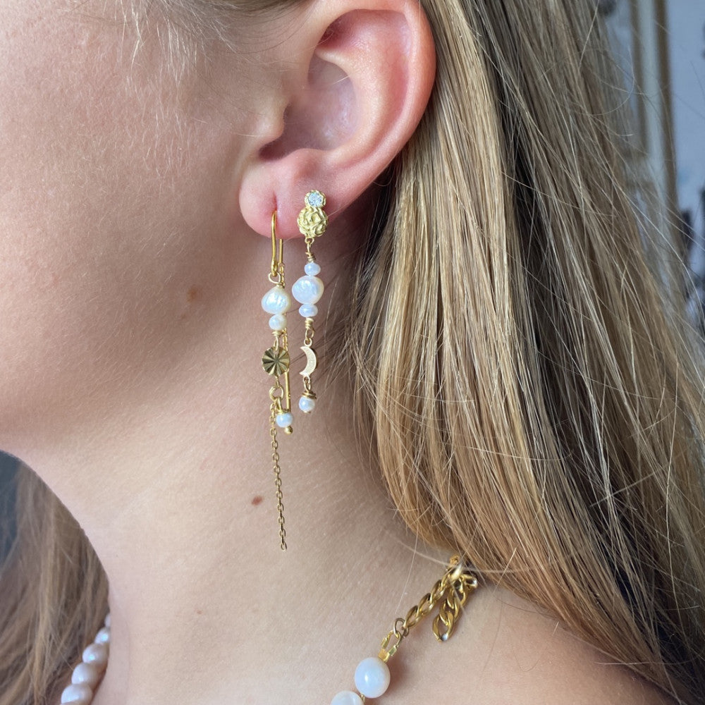 Pompaia earrings