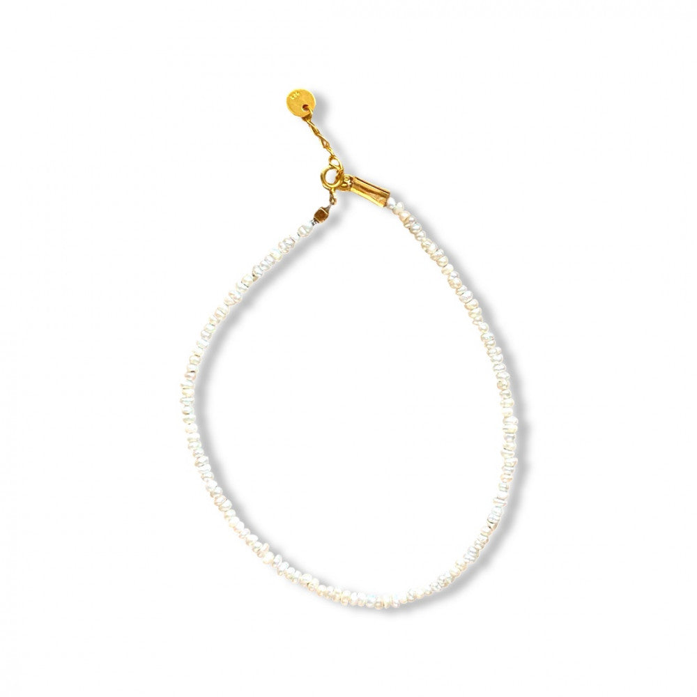 Shiny anklet