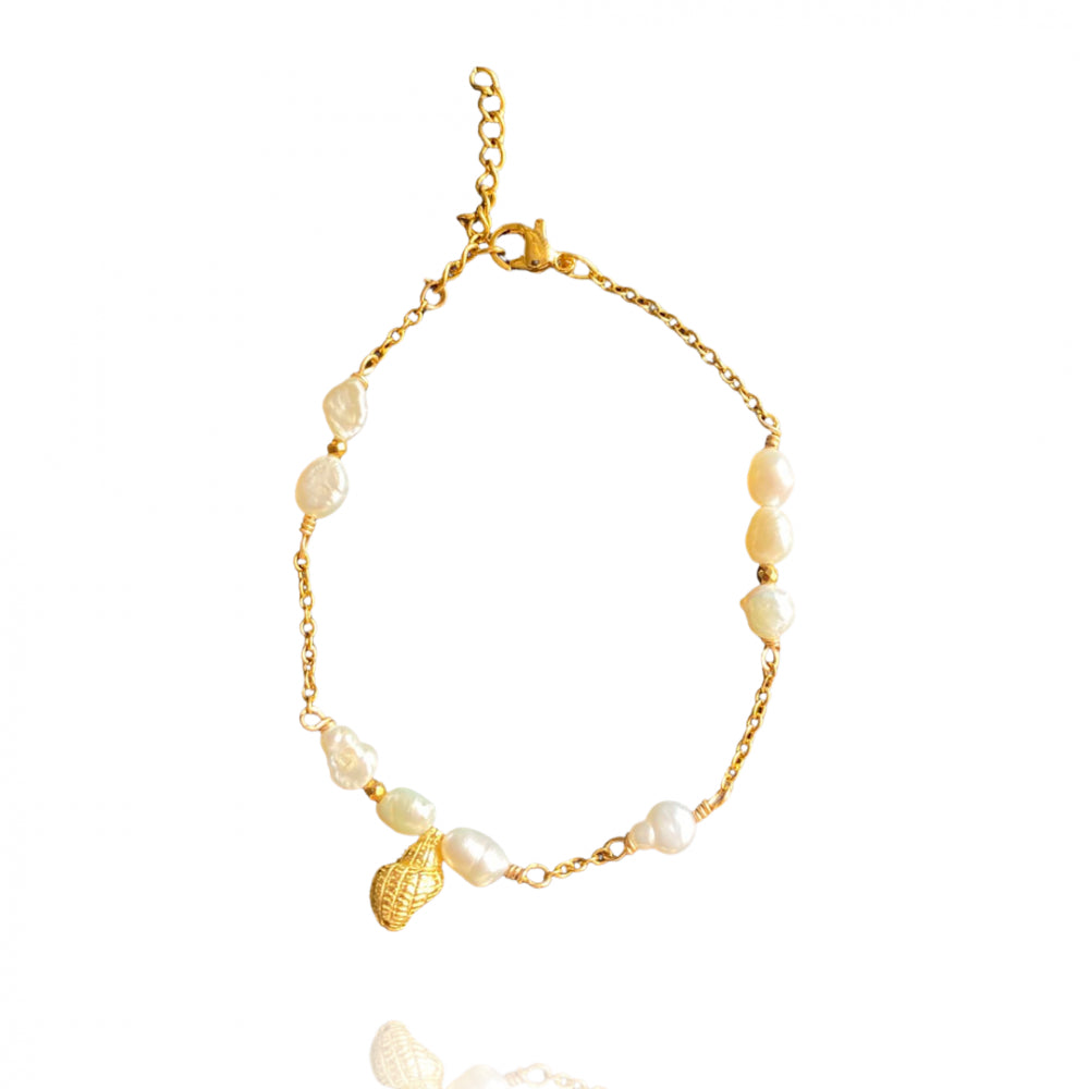 Shell bracelet