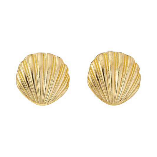 Shell earstickers