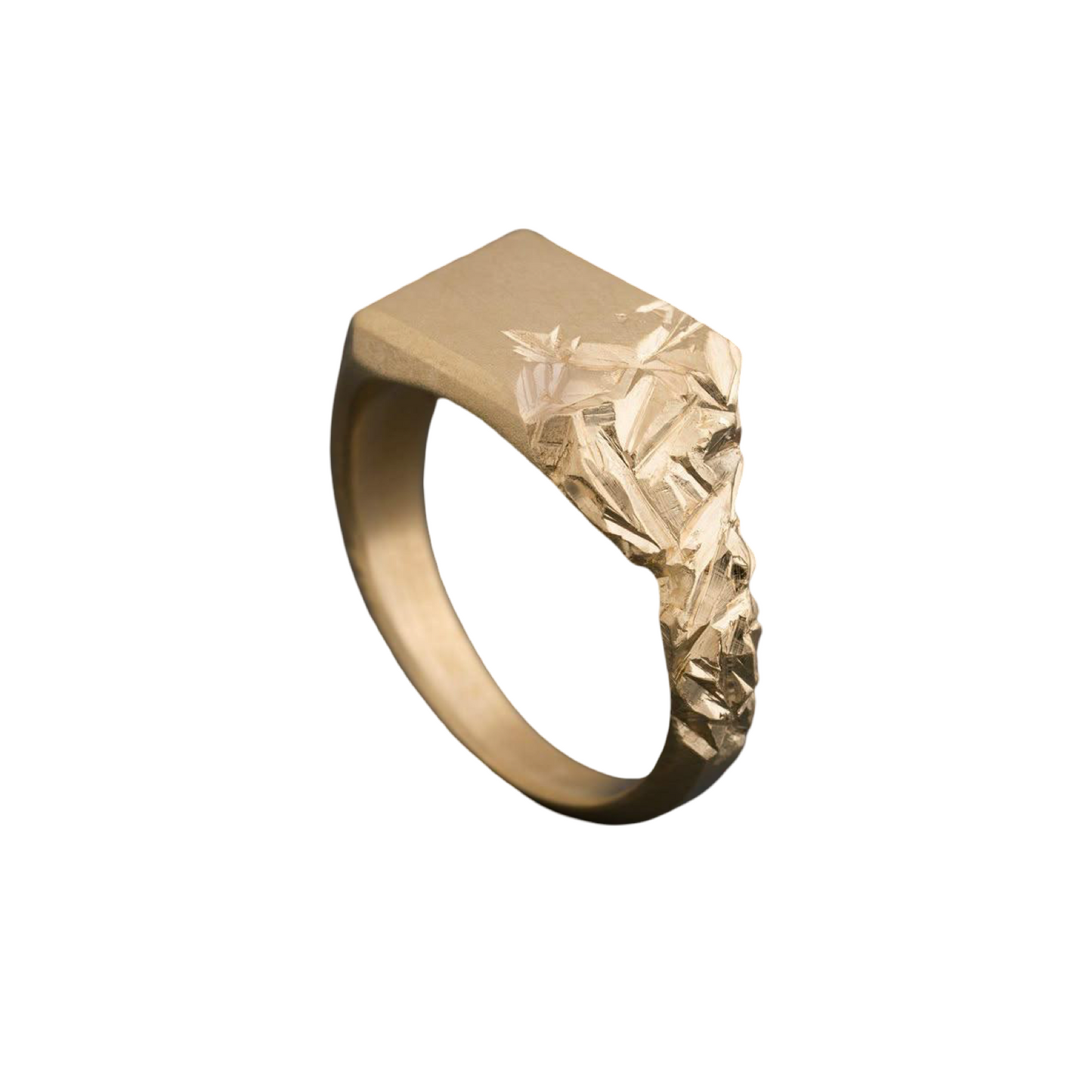 Signet raw ring