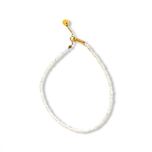 Shiny anklet
