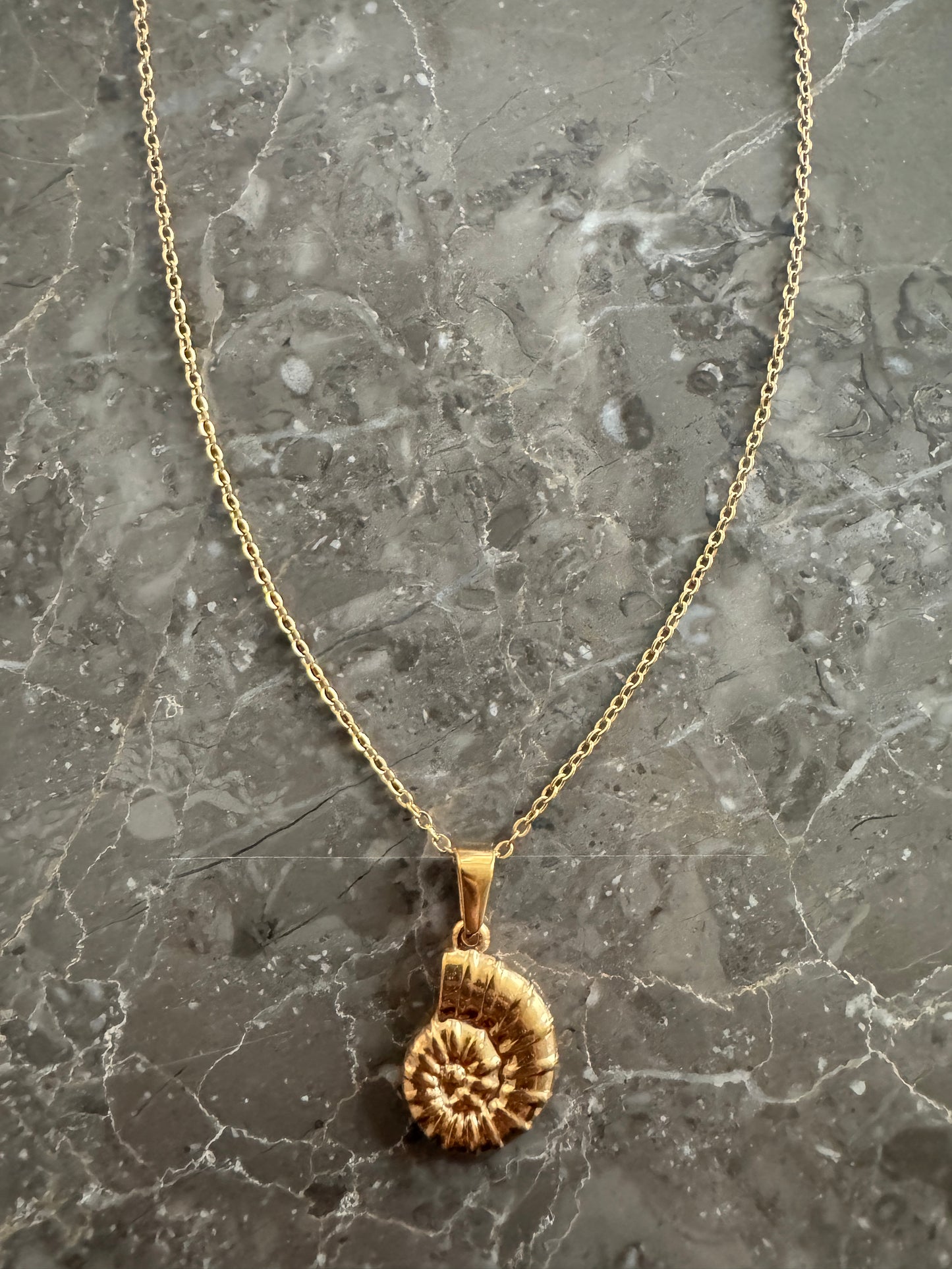 Shell necklace