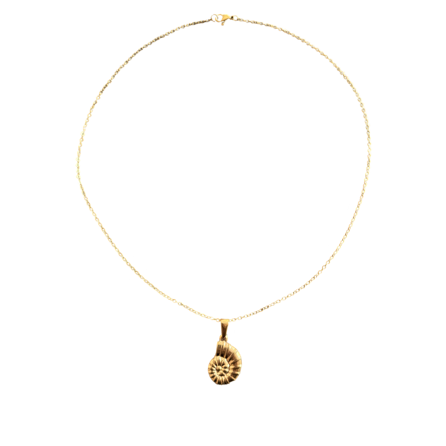 Shell necklace