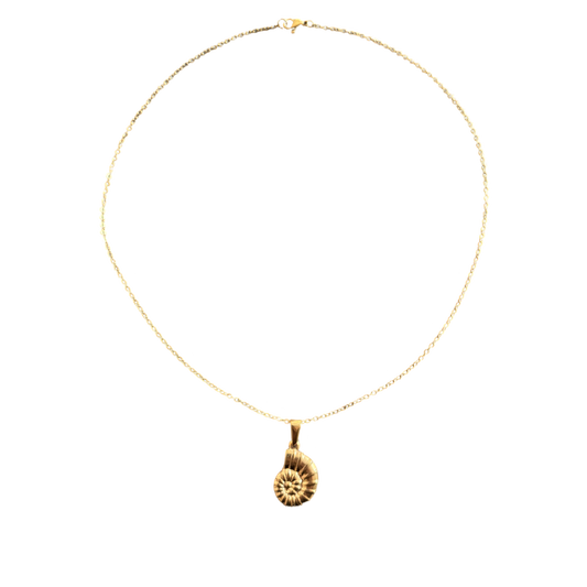 Shell necklace